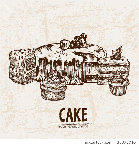 Digital vector detailed line art sliced cake 36379710