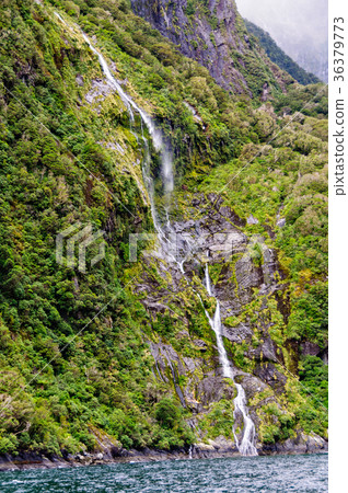 Soft Cascading Waterfall 2 - Milford Sound 36379773