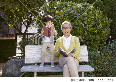 祖父,孫子,長凳,書 祖父,孫子,長凳,書 36380665