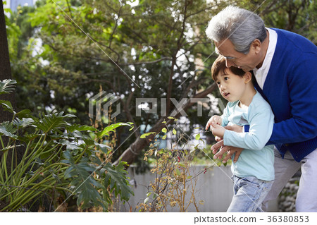 祖父，孫子，擁抱 36380853
