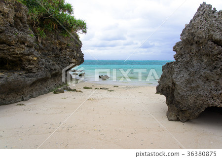 Yoron Island Kurohana Kaigan Yoron Island Kurohana Kaigan 36380875