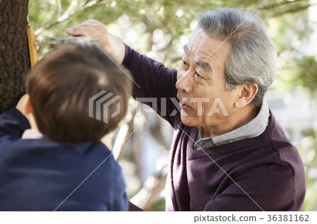 Grandfather, grandson, new house, making Grandfather, grandson, new house, making 36381162