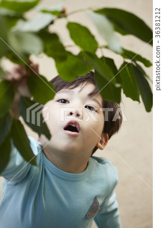 Children, boy 36381212