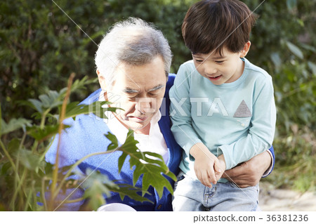 祖父，孫子，在一起，幸福 36381236