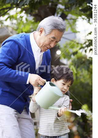 Grandfather, grandson, watering Grandfather, grandson, watering 36381244