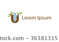 Visual identity for organic food producers 36381315