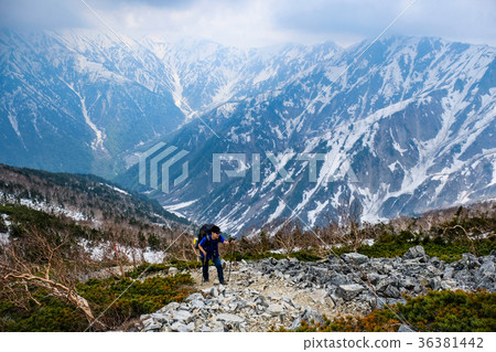 降雪季節，Mt。Ashigatake登山（北阿爾卑斯山） 36381442