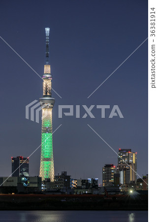 被點燃的東京天空樹香檳樹 36381914