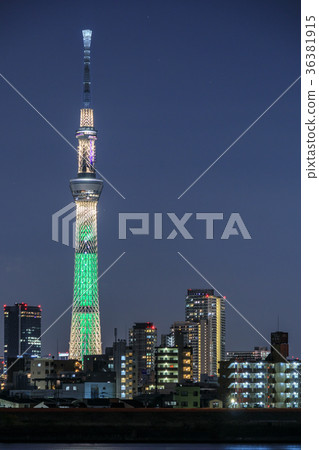 Lighted up Tokyo Sky Tree Champagne Tree 36381915