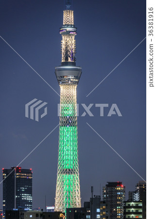 被點燃的東京天空樹香檳樹 36381916