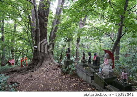 Sapporo Maruyama Stones and Buddha visiting eighty-eight places 36382841