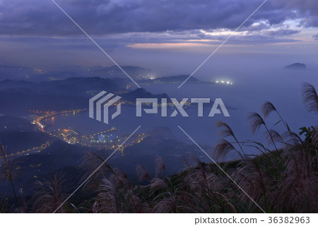 新北市,九份,芒花,蘆葦,中華台北,北海岸,東北角海岸國家風景區,金瓜石,黃昏 新北市,九份,芒花,蘆葦,中華台北,北海岸,東北角海岸國家風景區,金瓜石,黃昏 36382963