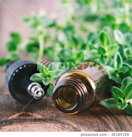 Organic essential thyme oil with green leaves Organic essential thyme oil with green leaves 36384189