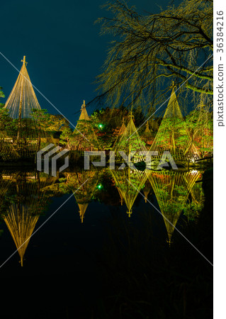 秋葉反射在天鵝庭院裡 36384216