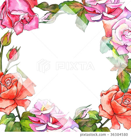 Wildflower rose flower frame in a watercolor style - Stock Illustration ...