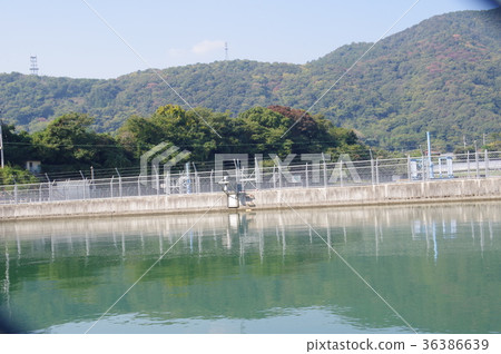 Miyagawauchi調整池 36386639