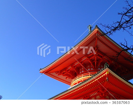 Nemoto big tower 36387063