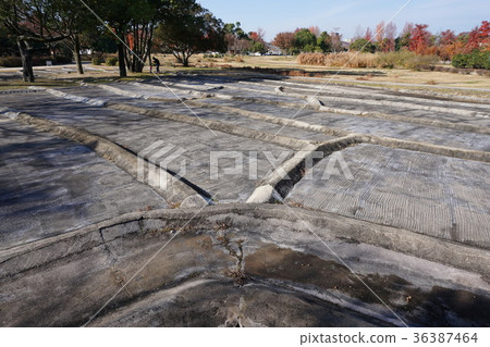 Okayama Prefecture General Sports Park: "Tsushima Ruins" that restored houses of the Yayoi period: Paddy field marks Okayama Prefecture General Sports Park: "Tsushima Ruins" that restored houses of the Yayoi period: Paddy field marks 36387464