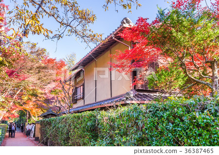 Autumn in Japan Autumn in Japan 36387465