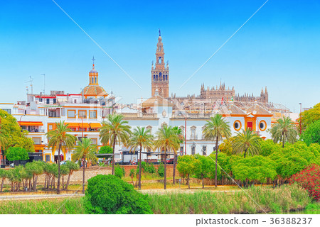 View on downtown of Seville View on downtown of Seville 36388237