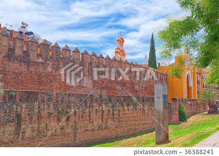 Wall of Seville (Muralla almohade de Sevilla)  36388241