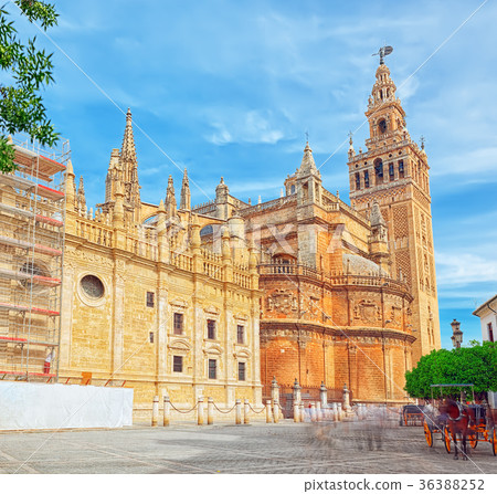 Cathedral of Saint Mary of the See Cathedral of Saint Mary of the See 36388252