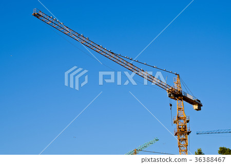Big Cranes with Gulls on the Blue Background. 36388467