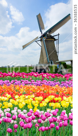 skyline of old town Zaanse Schans 36388535