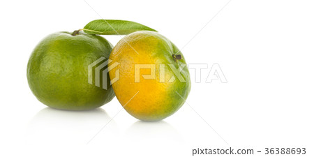 green Tangerine green Tangerine 36388693