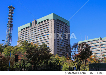 Ministry of Defense 36391480