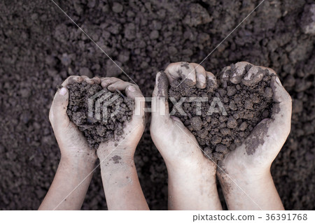 Parent and child hand holding soil in heart shape Parent and child hand holding soil in heart shape 36391768