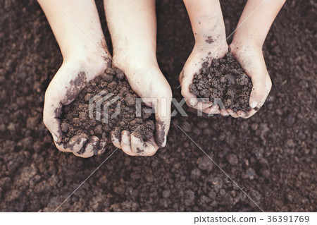Parent and child hand holding soil in heart shape Parent and child hand holding soil in heart shape 36391769