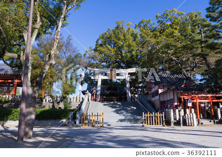 Osaka, Yaotong Hachimangu Shrine 36392111