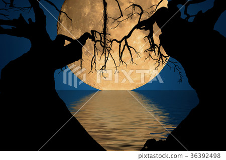 Moon and shadows 36392498