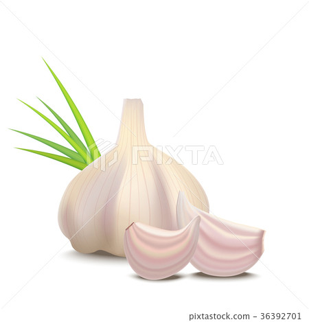 Realistic Detailed 3d Whole Garlic and Cloves Realistic Detailed 3d Whole Garlic and Cloves 36392701