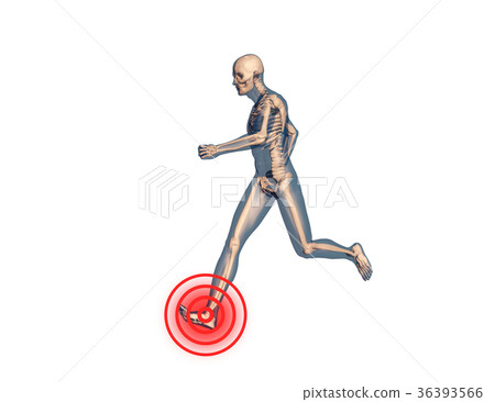 Ankle Pain in Human Body Transparent Design Ankle Pain in Human Body Transparent Design 36393566