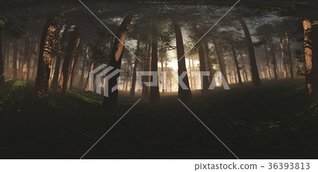 Deep Forest VR360 3D Illustration Deep Forest VR360 3D Illustration 36393813