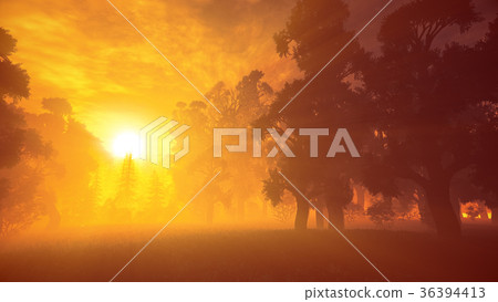 Lush Prehistoric Forest in the Sunset Sunrise 36394413