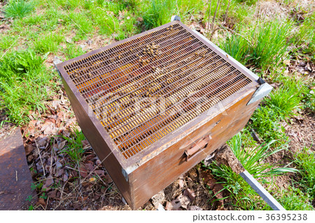 Open hive, beekeeping Open hive, beekeeping 36395238