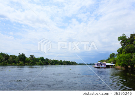Houses along Amazonas river. Brazilian panorama 36395246