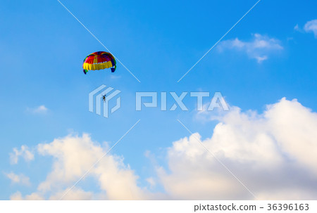 skydiver high in the blue sky white clouds skydiver high in the blue sky white clouds 36396163
