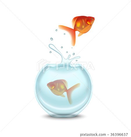 Gold Fish and Aquarium on a White Background 36396637