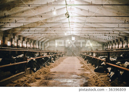 barn inside with no sharpness barn inside with no sharpness 36396809