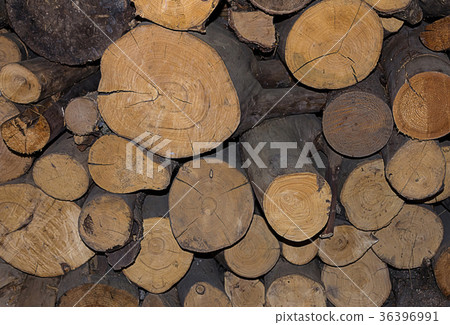 natural log trunk pile, background natural pine natural log trunk pile, background natural pine 36396991