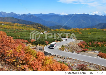 A highland bus that goes through the Noji echo line of autumn leaves 36397134
