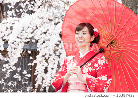 Hanami婦女穿著和服 36397452