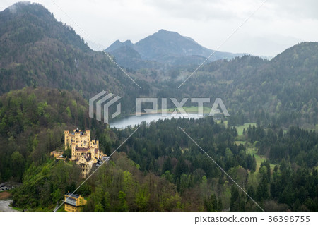 Hohenschwangau Castle in fog 36398755