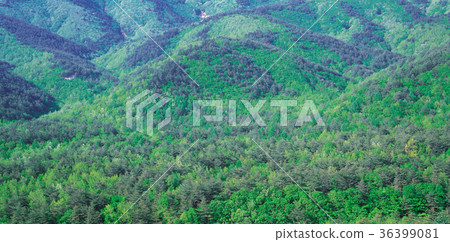 Soraksan，Sokcho，江原道 36399081