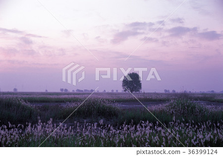 Hwaseong City, Gyeonggi-do 36399124