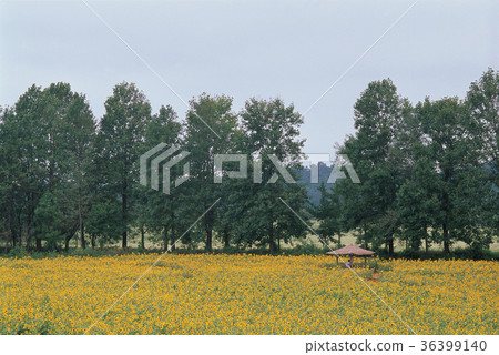 Gakwon Farm, Gochang-gun, Jeonbuk Gakwon Farm, Gochang-gun, Jeonbuk 36399140